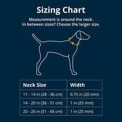 Ruffwear Front Range Collar side-release buckle demonstrates quick, secure fit for busy outings.