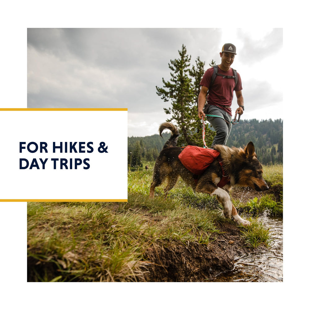 Ruffwear Front Range Day Pack adjustment points provide a bounce-free, secure fit.
