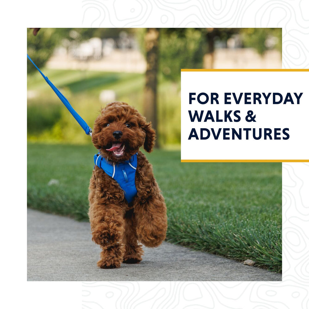 Ruffwear Front Range leash-padded-handle offers comfortable grip during extended strolls.