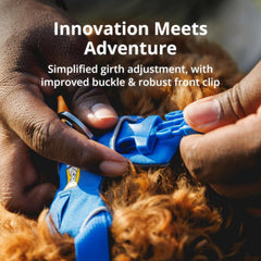 Ruffwear Front Range adjustable-points ensure a secure fit across dog shapes.