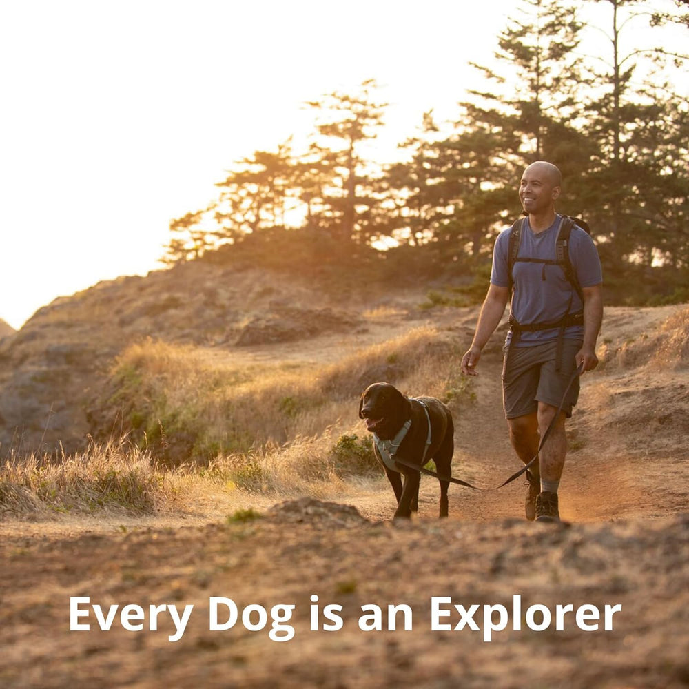 Ruffwear Front Range Harness in-use during a walk showcases comfortable control