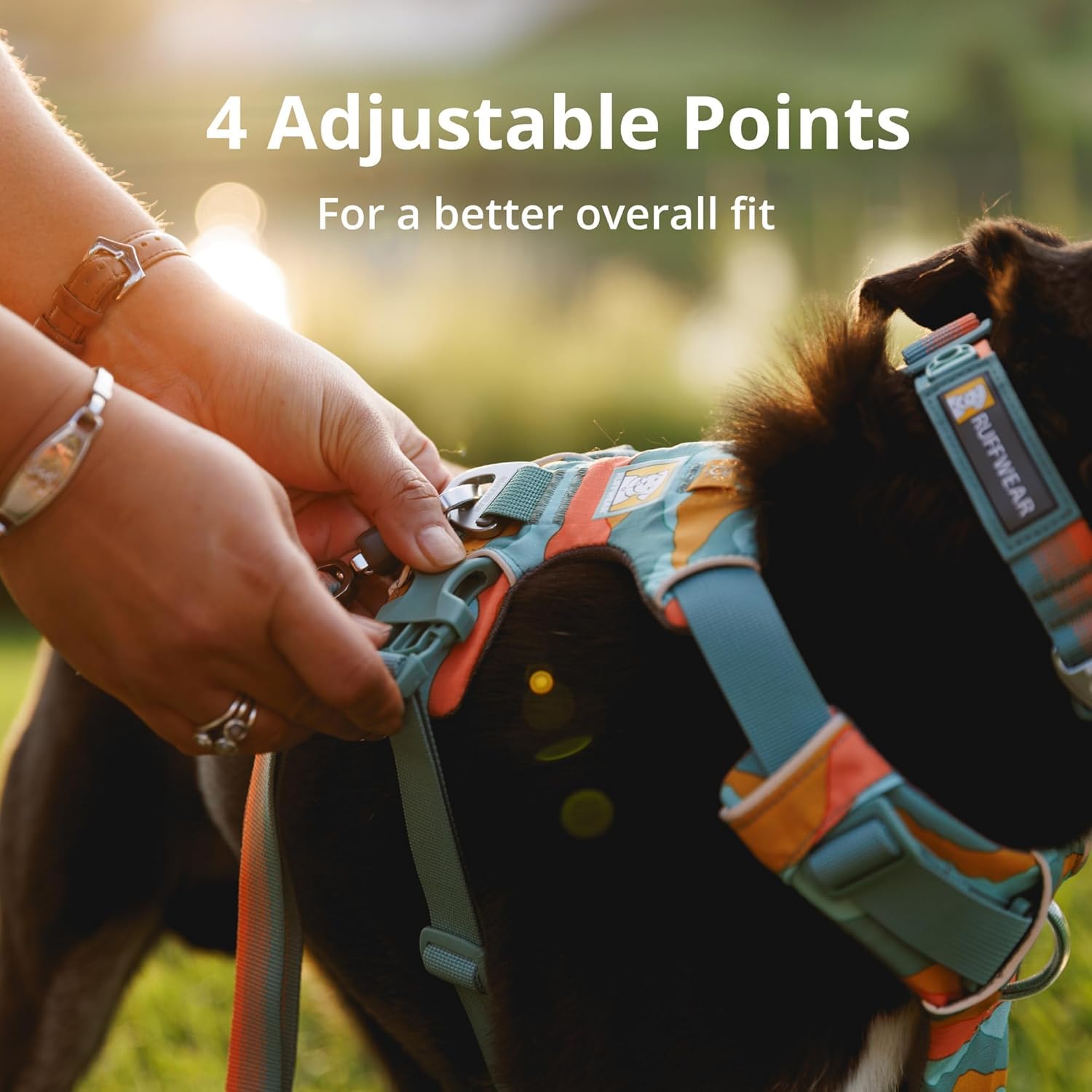 Ruffwear Front Range harness durable materials resist wear during daily adventures.