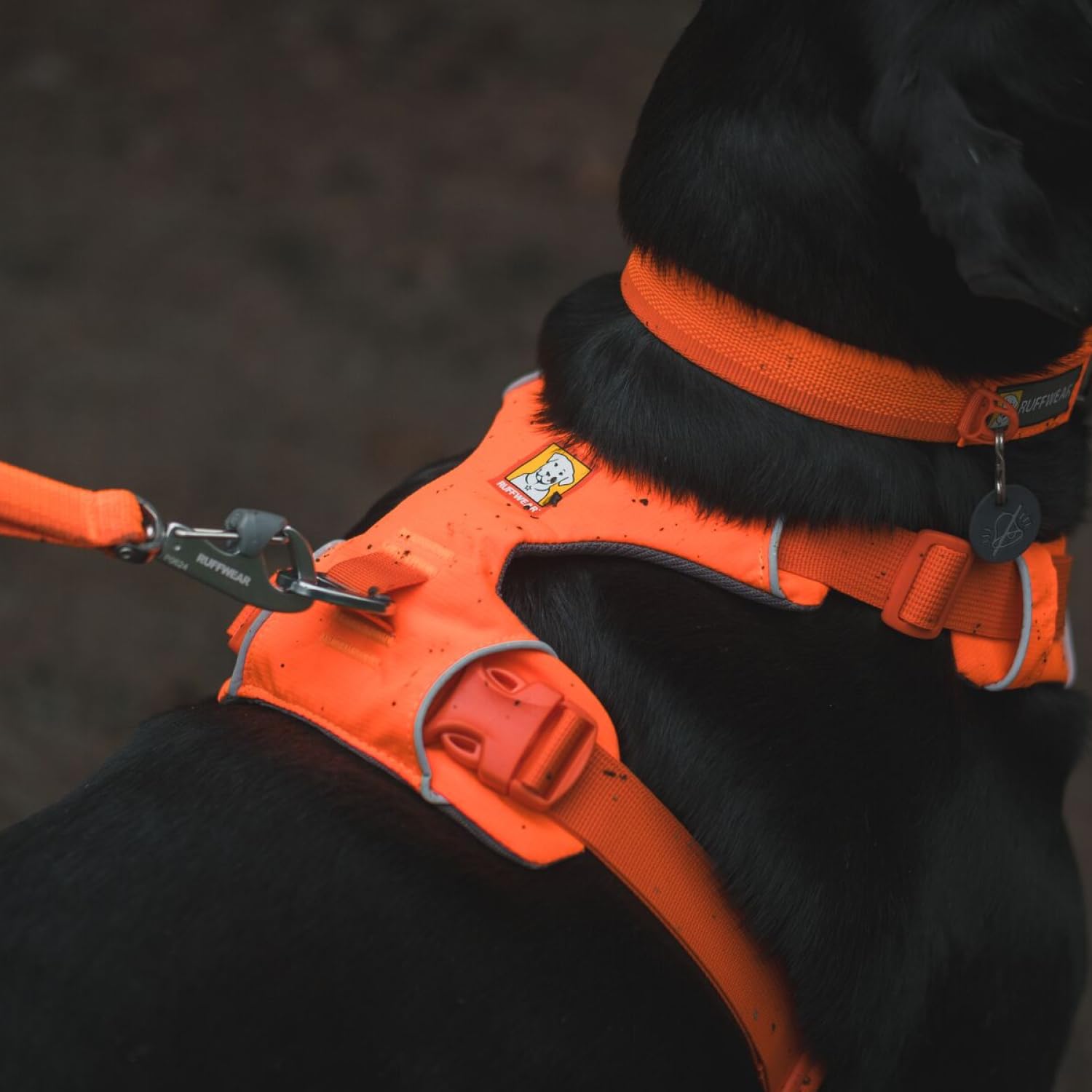 Ruffwear Front Range reflective trim enhances visibility in low light.