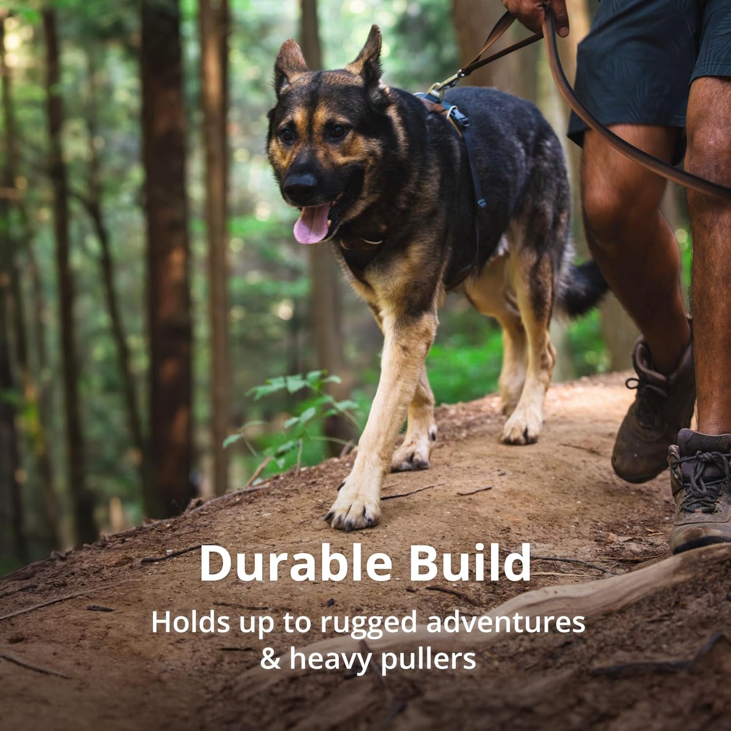 Ruffwear Front Range sizing chart and fit video help measure accurately.