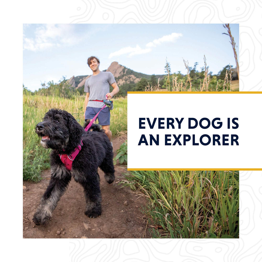 Ruffwear Front Range Leash everyday-walking-setup shows versatile ready-to-use system.