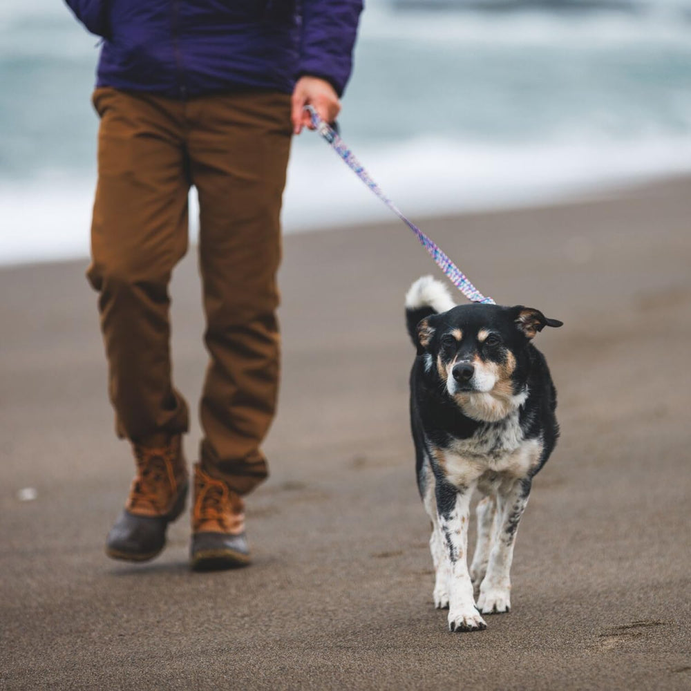 Ruffwear Front Range Leash padded handle delivers comfortable grip on long walks.