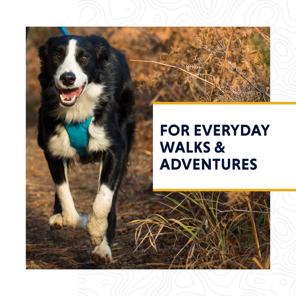 Ruffwear Front Range Leash traffic-handle enables quick restraint in crowded areas.
