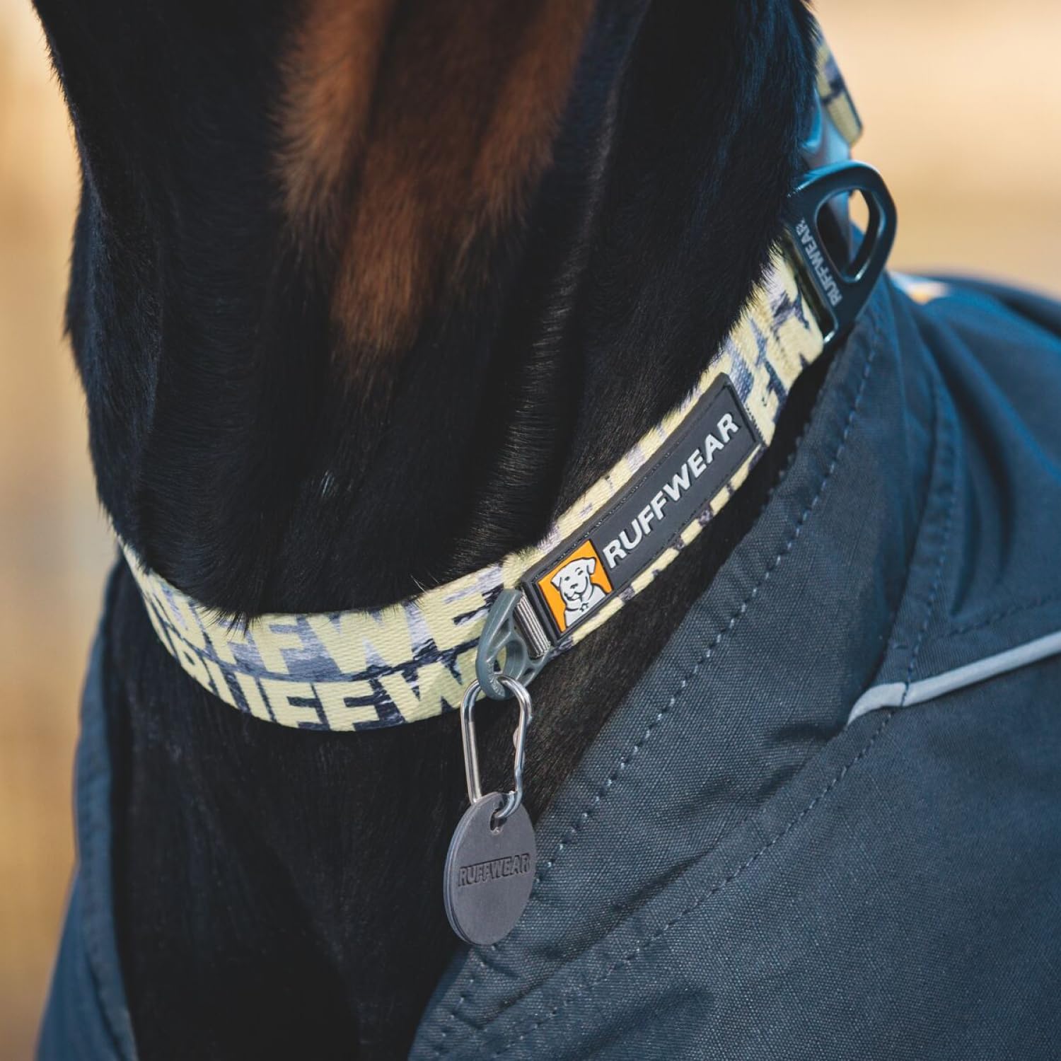 Ruffwear Front Range, silenciador de etiquetas de silicona para paseos tranquilos.