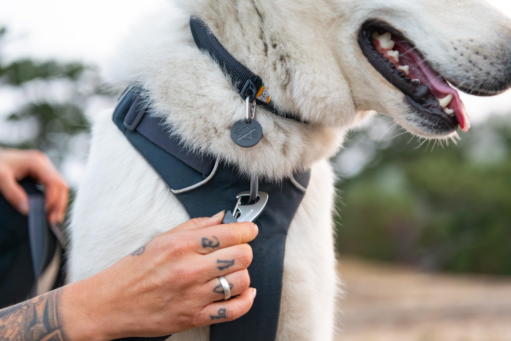 Ruffwear Front Range collar with soft tubular webbing for all-day comfort.