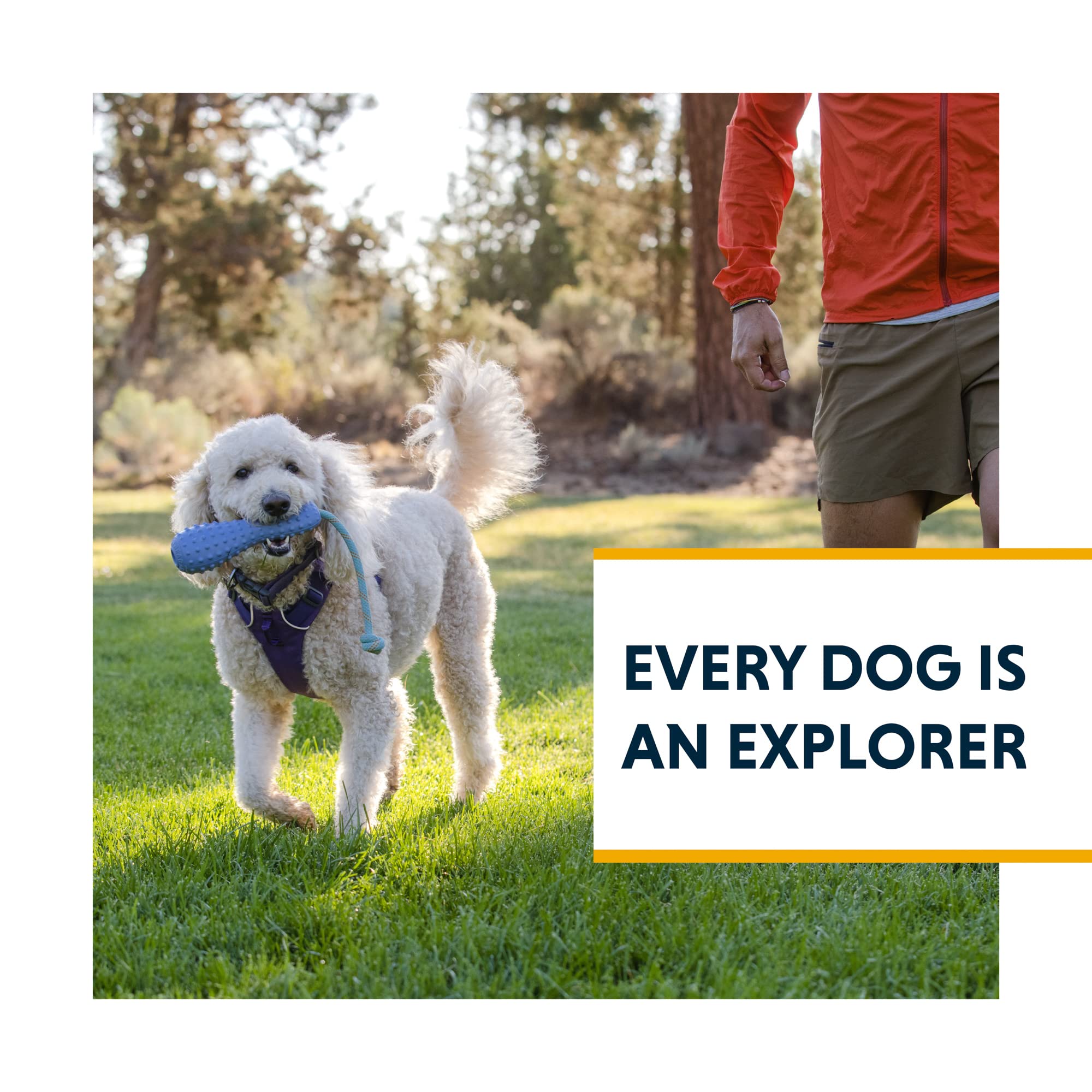Ruffwear Gourdo backyard, park, and campsite play ready.