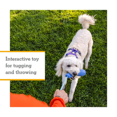 Ruffwear Gourdo rope-handle closeup highlighting replaceable rope for durable, ongoing games.