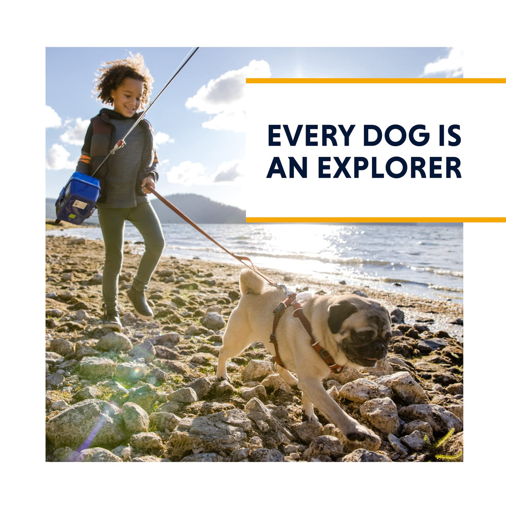 Ruffwear Grip Trex dog shoes have ergonomic shape for comfortable, natural movement.