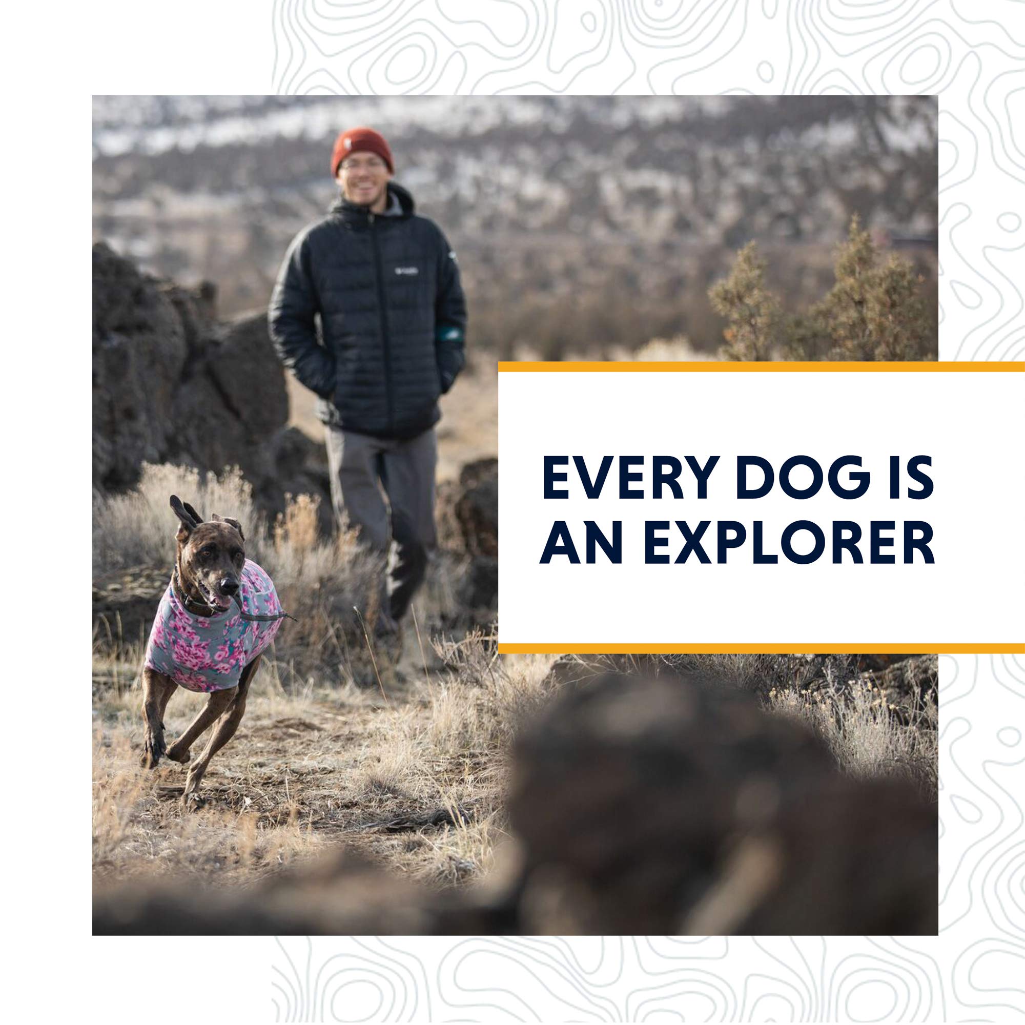 Ruffwear Grip Trex padded mesh lining cushions movement on long walks.