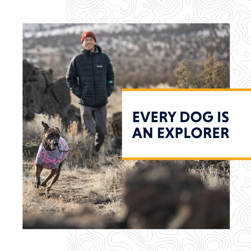 Ruffwear Grip Trex padded mesh lining cushions movement on long walks.