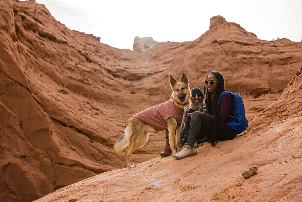 Ruffwear Hemp Hound Sweater light loop for The Beacon attachment.