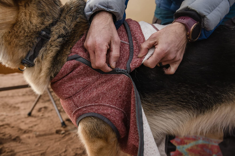 Ruffwear Hemp Hound Sweater full-zip closure for easy on/off.