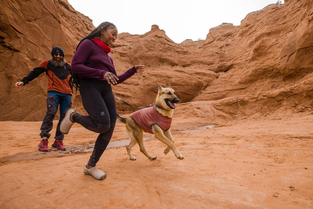 Ruffwear Hemp Hound Sweater reflective trim for low-light visibility.