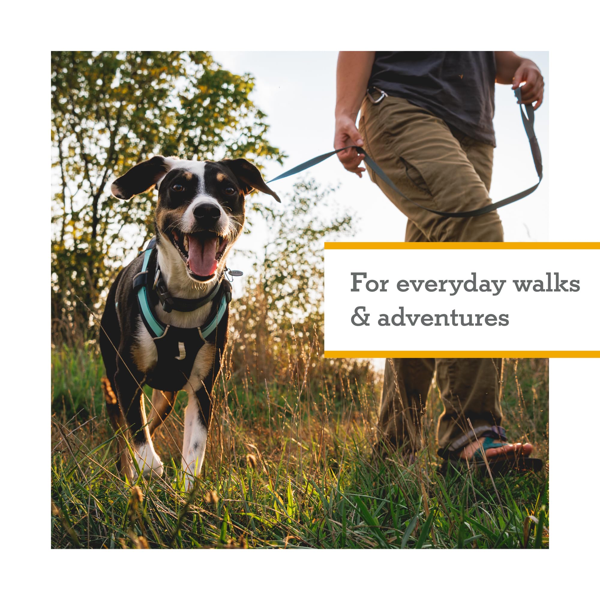 Ruffwear Hi & Light four-point adjustment close-up shows snug fit for dogs