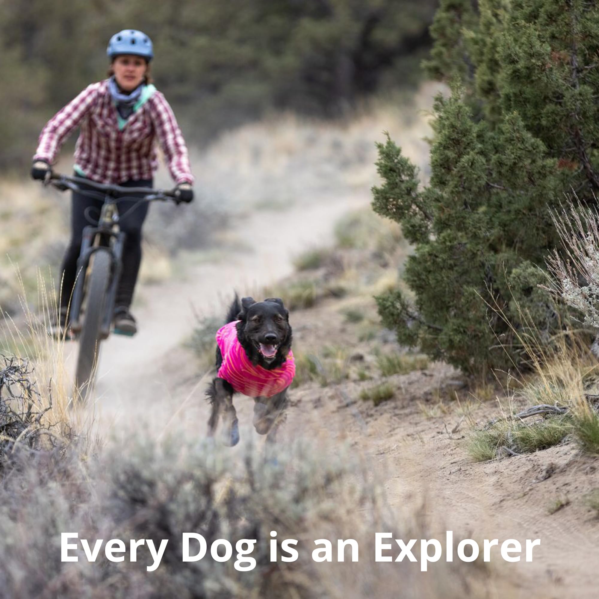 Ruffwear Hi & Light dog shoes pair setup ready for adventures