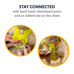 Ruffwear Hi & Light adjustment closeup showing four-point fit customization.