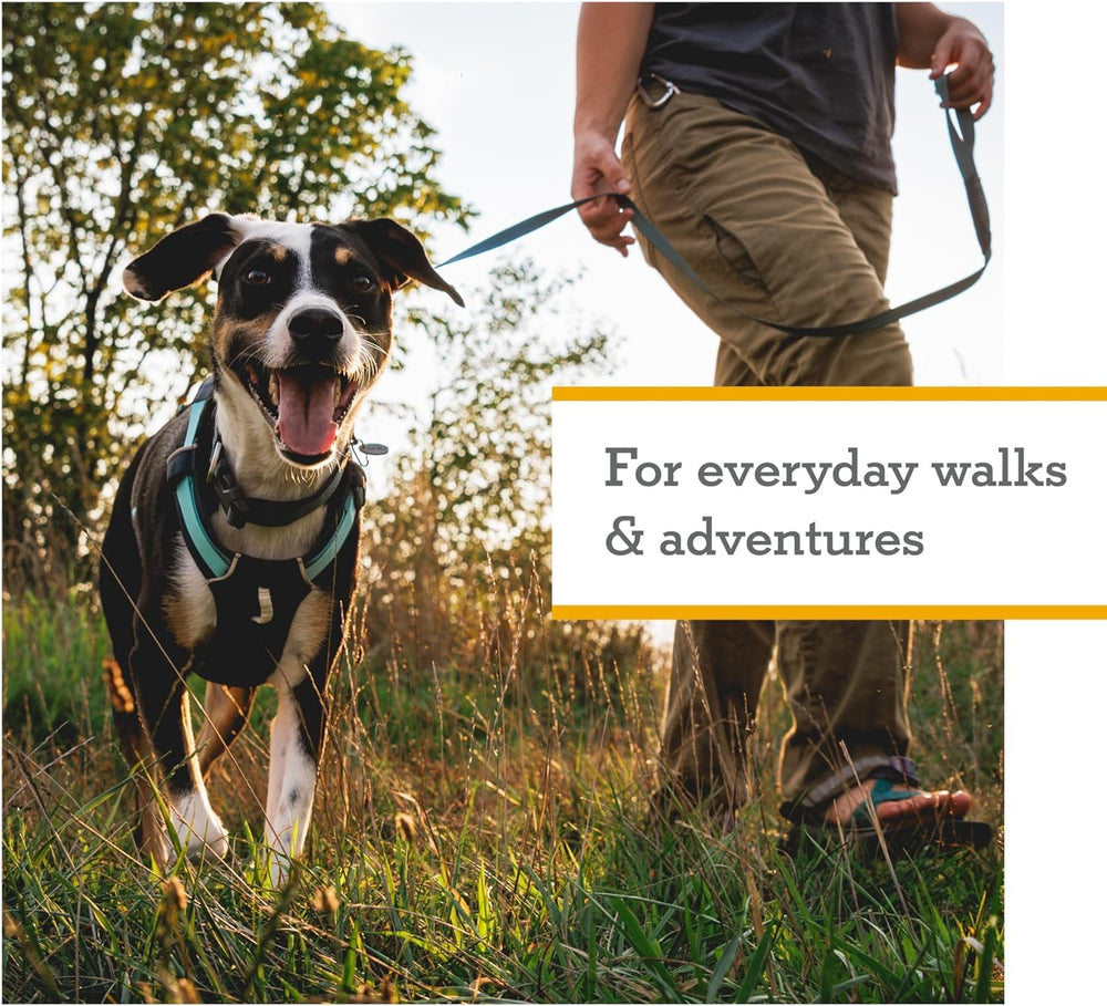 Ruffwear Hi and Light close-up highlights lightweight material and streamlined profile.
