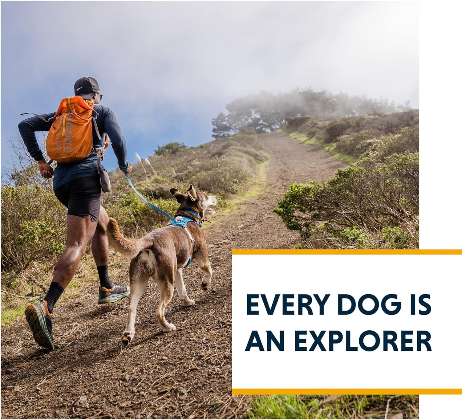 Ruffwear Hi & Light storage-ready design for trips