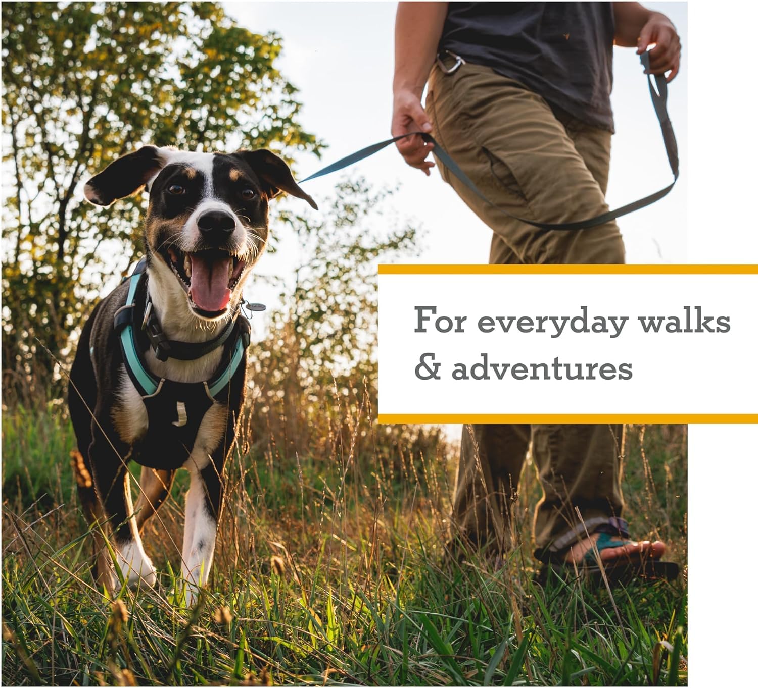 Ruffwear Hi & Light on trail shows all-day comfort during walks