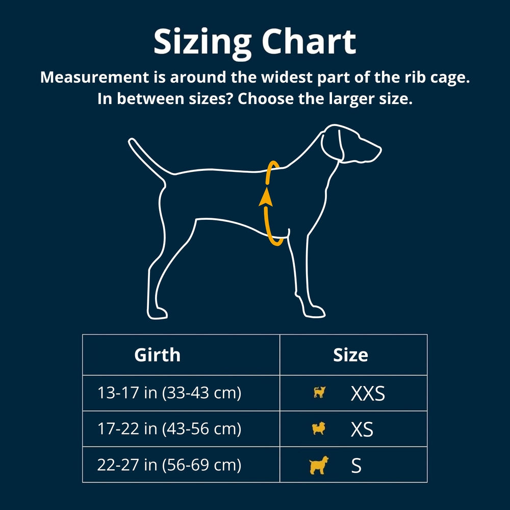Ruffwear Hitch Hiker size-chart view helps verify the perfect fit for small dogs.