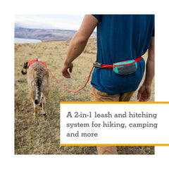 Ruffwear Hitch Hiker Crux Clip attaches to a collar for secure control.