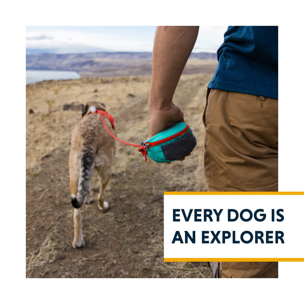 Ruffwear Hitch Hiker secured around a post for campsite tethering.