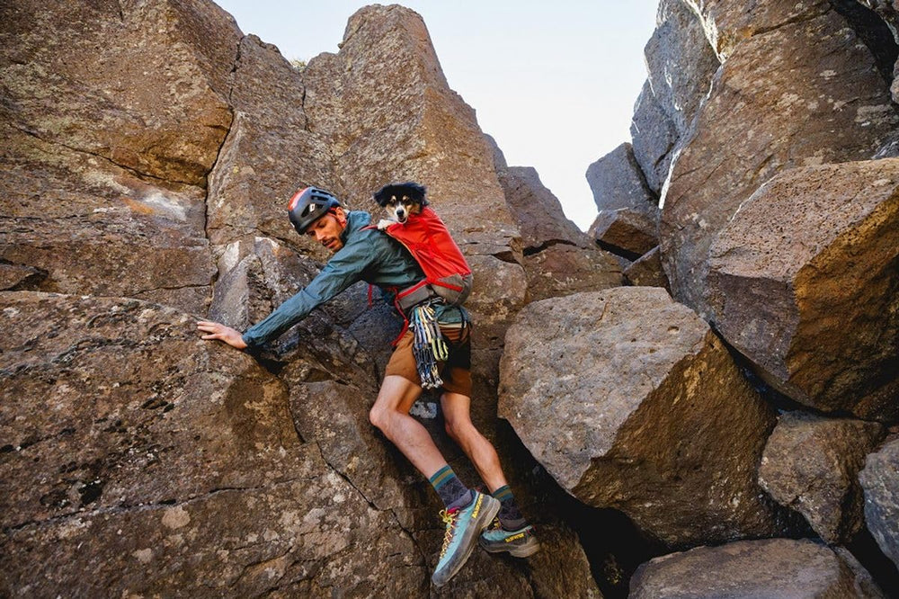 Ruffwear Hitch Hiker reflective trim boosts visibility in low-light settings