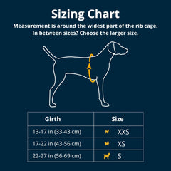Ruffwear Hitch Hiker secures the dog with a reliable fit for confident control on varied terrains