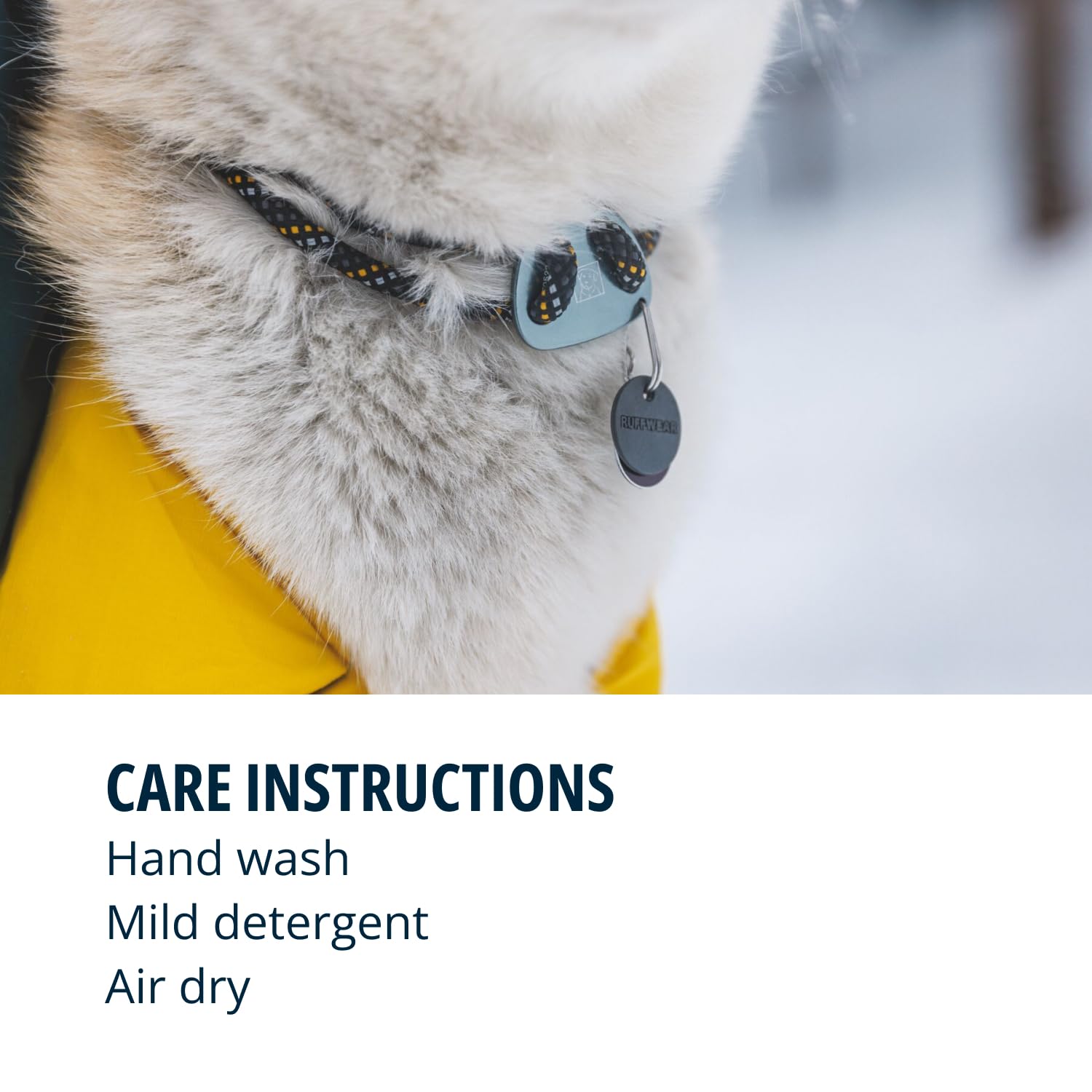 Ruffwear Knot-a-Collar in-use on trail demonstrates secure training collar for adventures