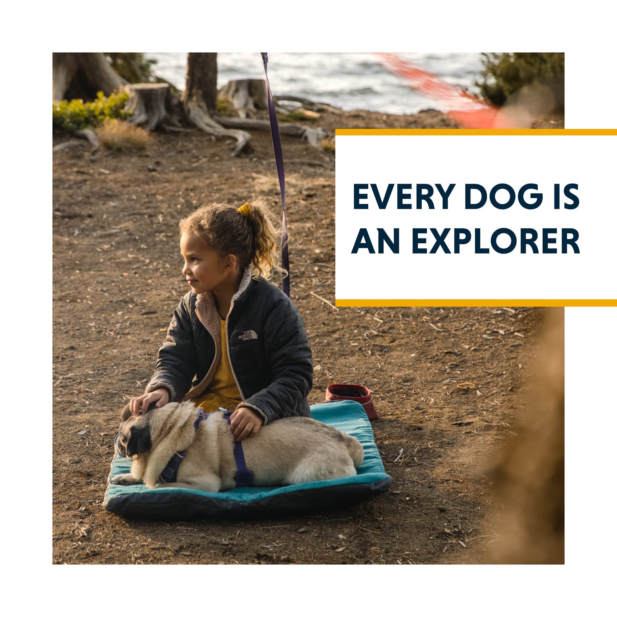 Ruffwear Knot-A-Hitch ideal for camping, parks, and backyard adventures.