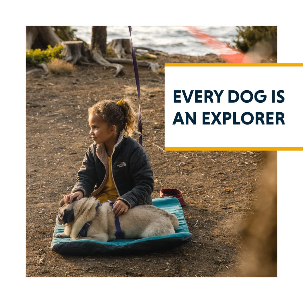 Ruffwear Knot-A-Hitch ideal for camping, parks, and backyard adventures.