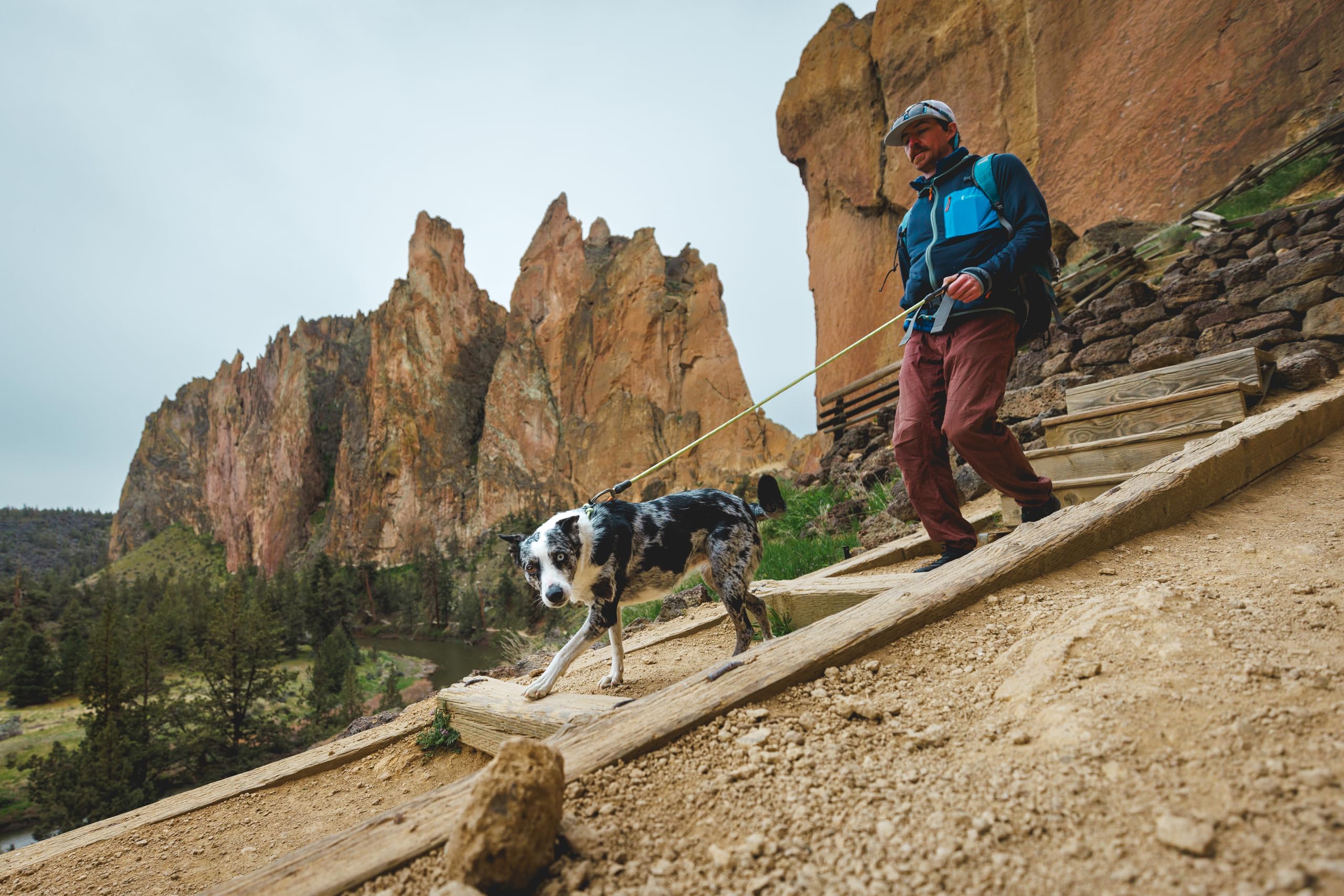 Ruffwear Knot-a-Leash urban walk with high visibility and durable rope.