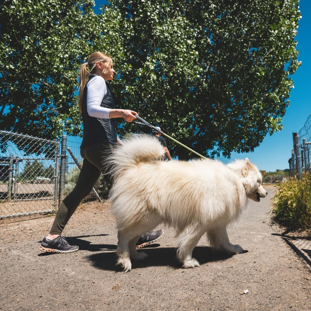 Two-dog setup ready with Knot-a-Long and compatible coupler options.