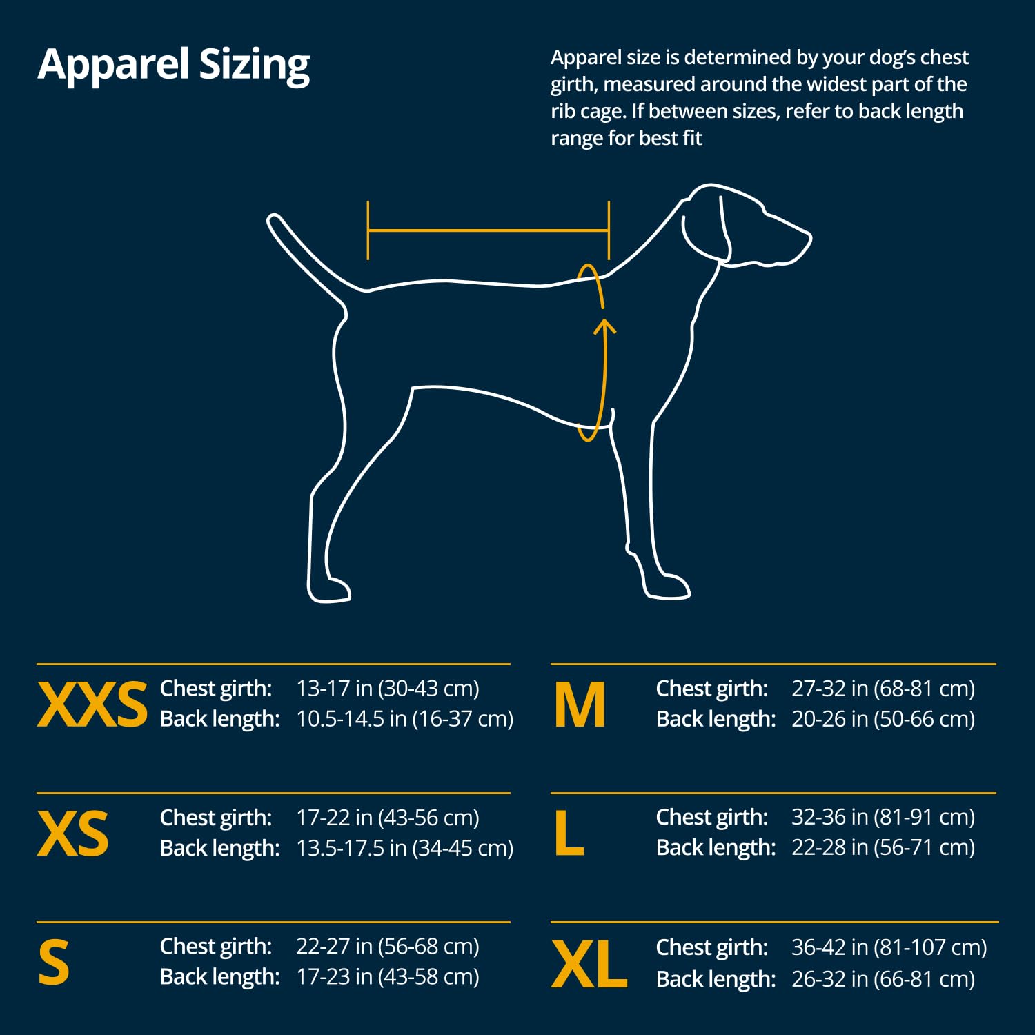 Ruffwear Powder Hound back view in Blue Pool highlights secure fit to prevent riding up.