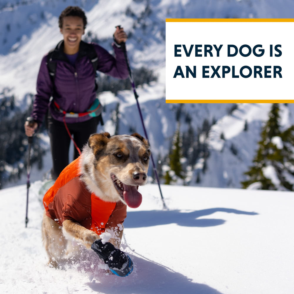 Ruffwear Powder Hound jacket Aurora Teal color for stylish cold-weather outings.