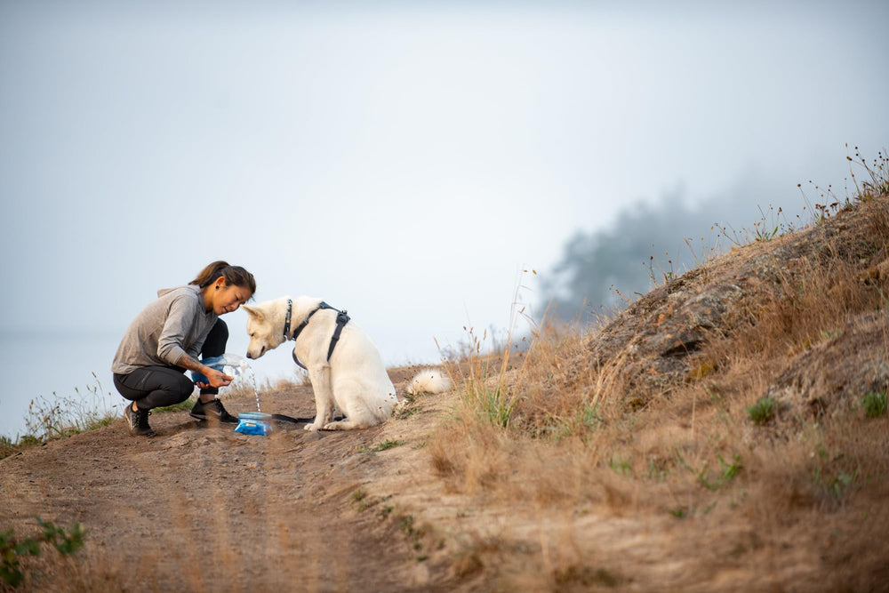 Ruffwear Quencher 4.2 cups capacity graphic displays ample hydration capacity.