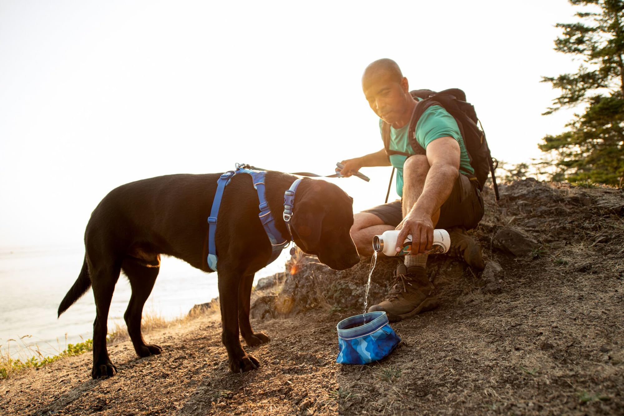Ruffwear Quencher Moonlight Mountains color suits adventurous companions.