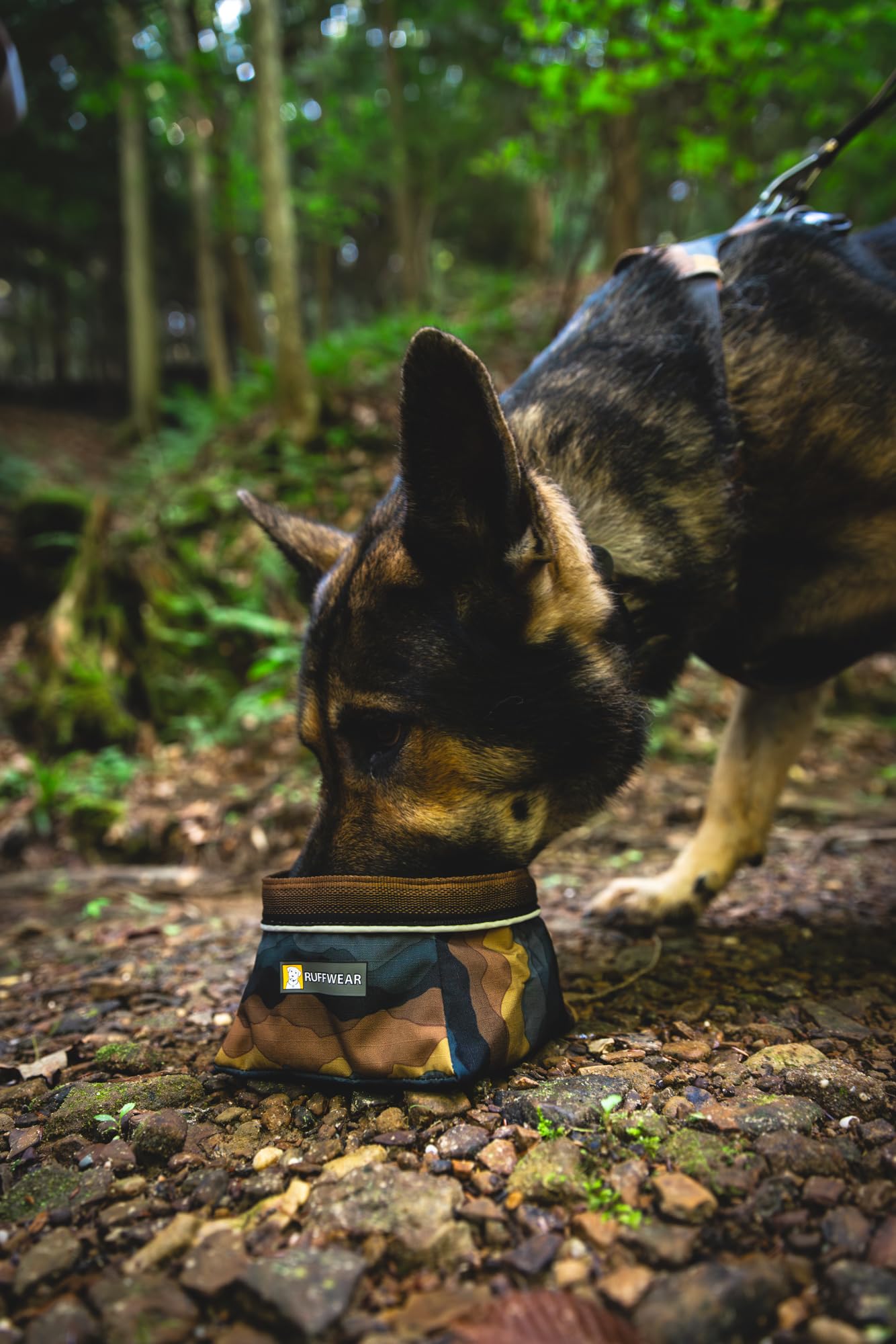 Ruffwear Quencher bowl packable in a bag, ready for adventures.