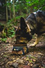 Ruffwear Quencher bowl packable in a bag, ready for adventures.