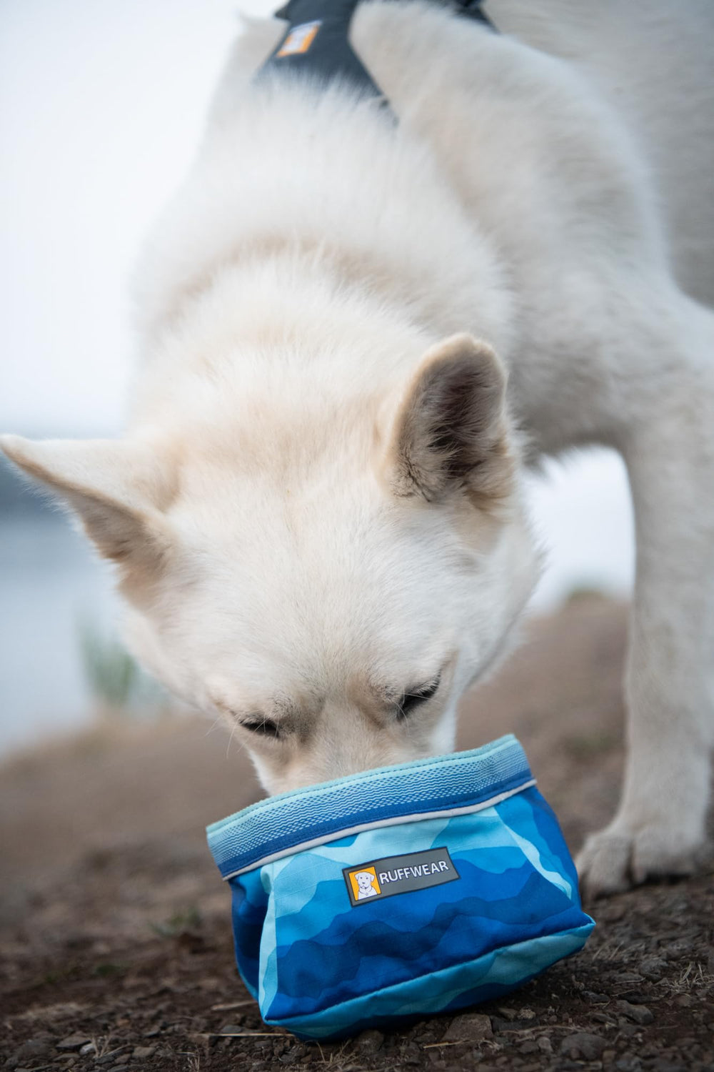 Ruffwear Quencher bowl features water-resistant shell for rugged outings.
