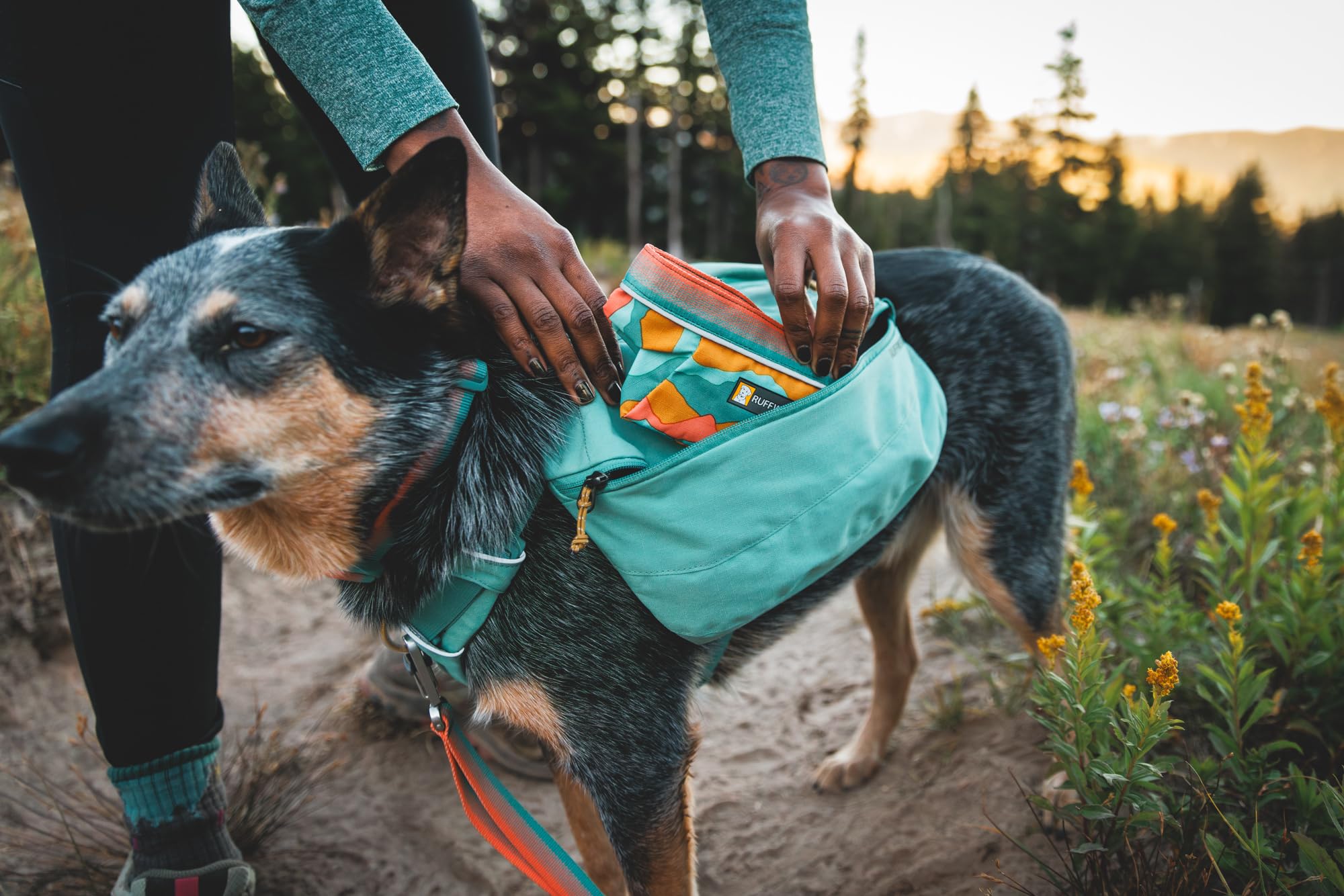 Ruffwear Quencher quick-dry feature demonstrates fast drying after muddy play.