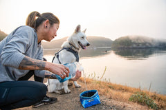 Ruffwear Quencher water-resistant shell shows rugged durability on trails.