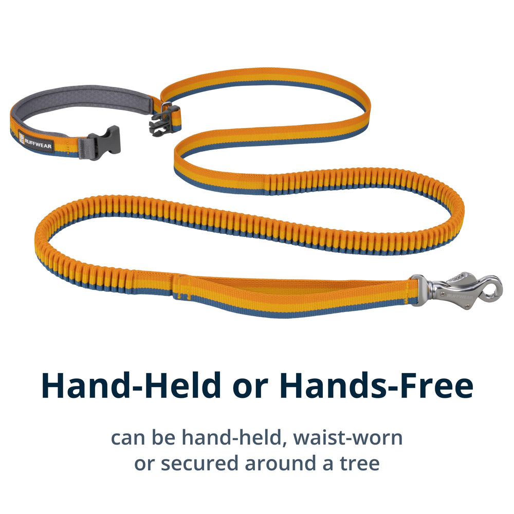 Ruffwear Roamer Bungee leash accessory-loop illustrates convenient pickup-bag clip storage.