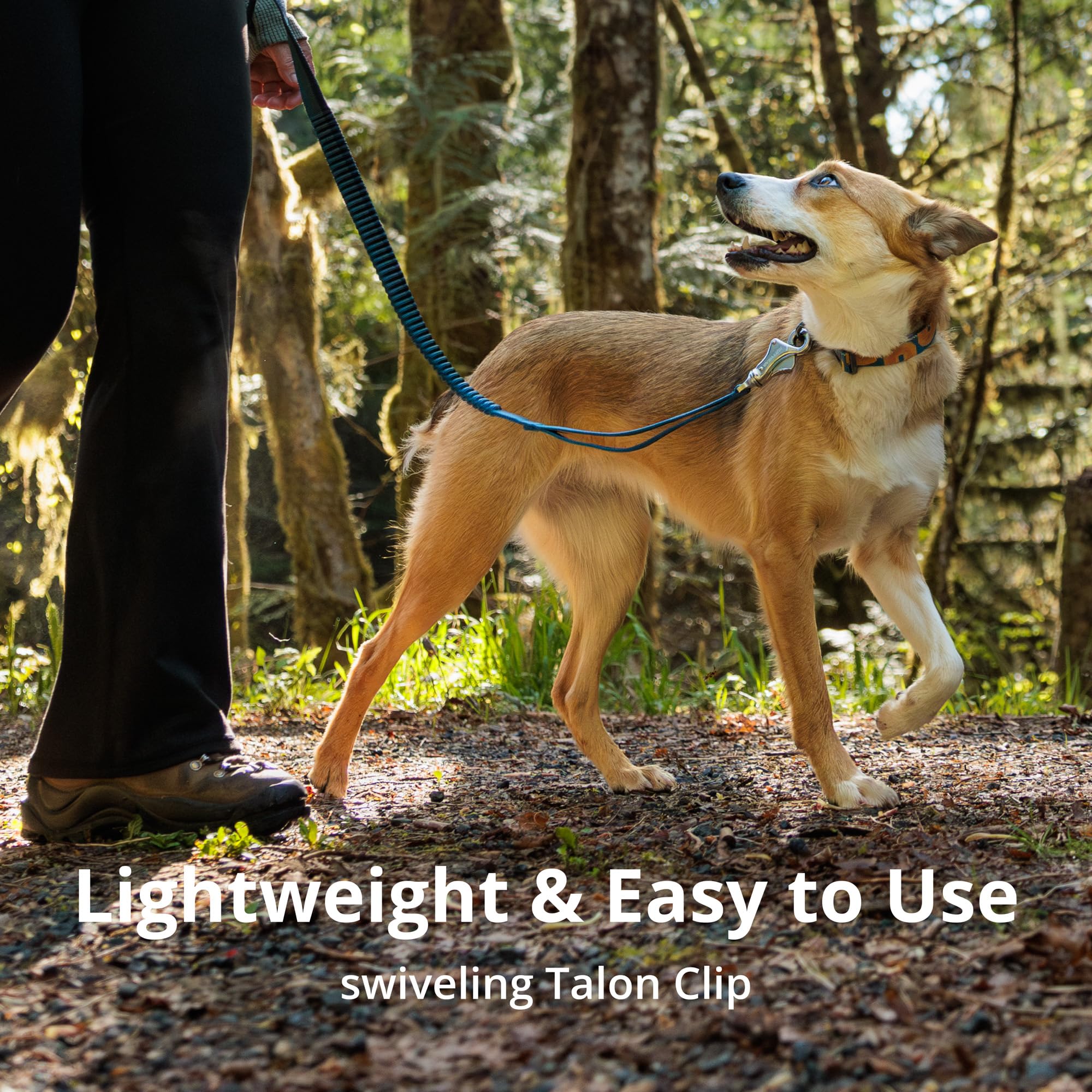 Ruffwear Roamer Bungee Leash with adjustable padded handle for comfort