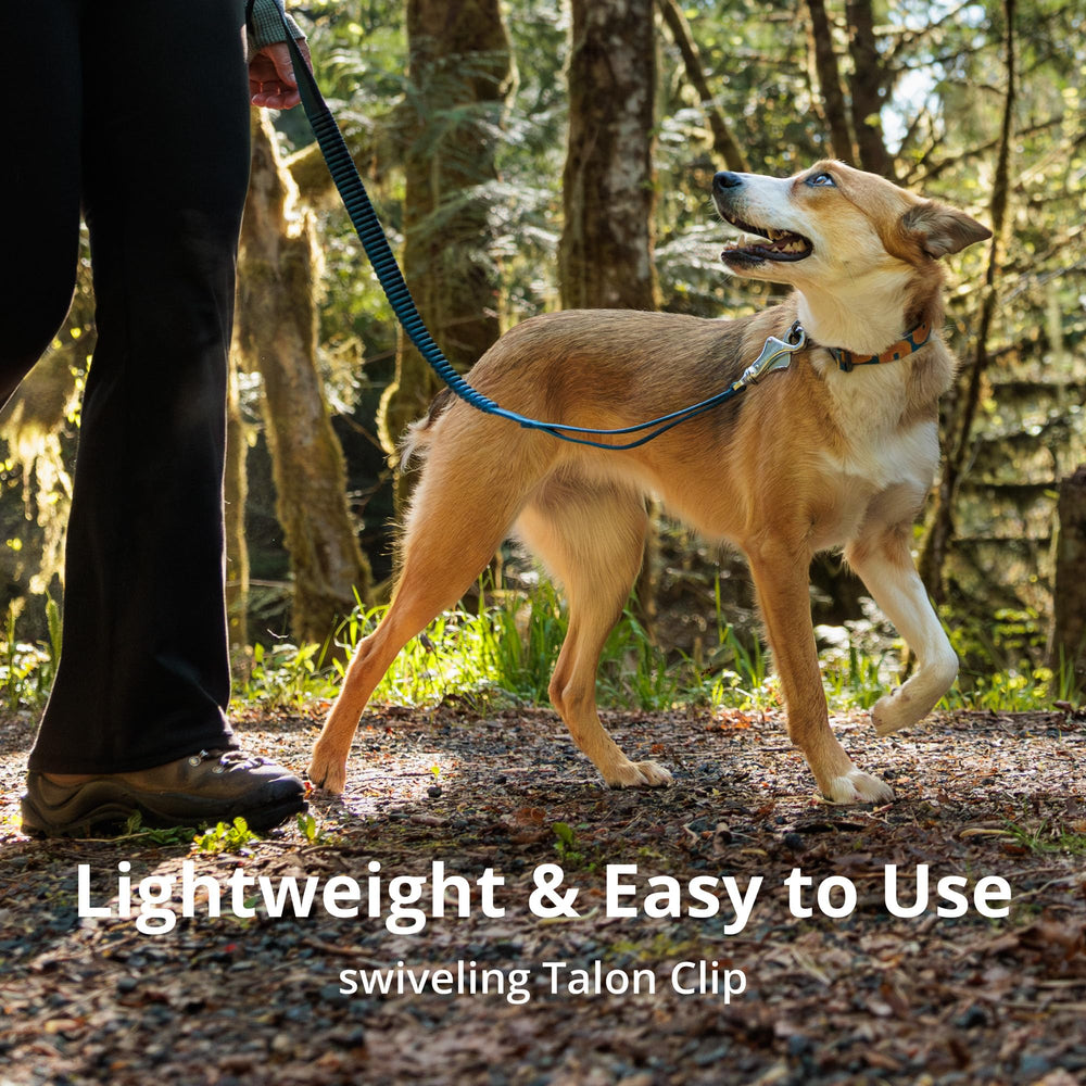 Ruffwear Roamer Bungee Leash padded handle for comfortable grip during runs.