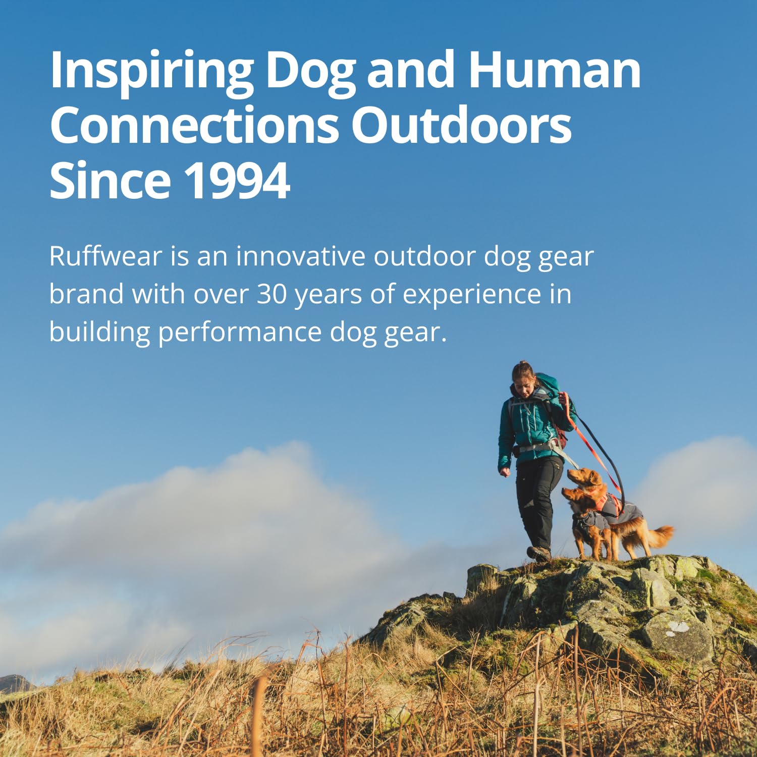 Ruffwear Sun Shower Mineral Yellow displays high-visibility in wet conditions.